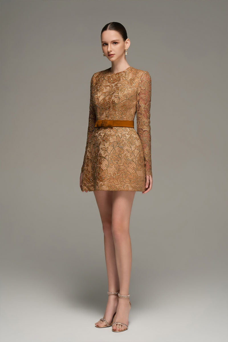 LONG SLEEVE LACE MINI DRESS IN BROWN