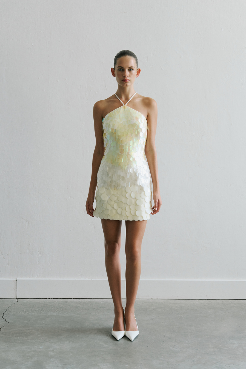 VERONICA DRESS IN BEIGE