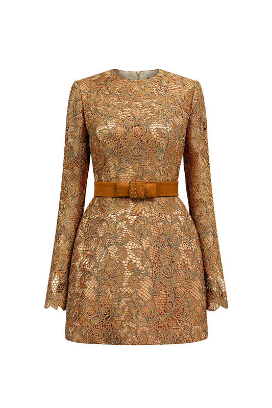 LONG SLEEVE LACE MINI DRESS IN BROWN