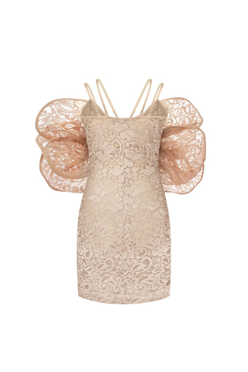 LACE MINI DRESS WITH 3D ROSES DECOR