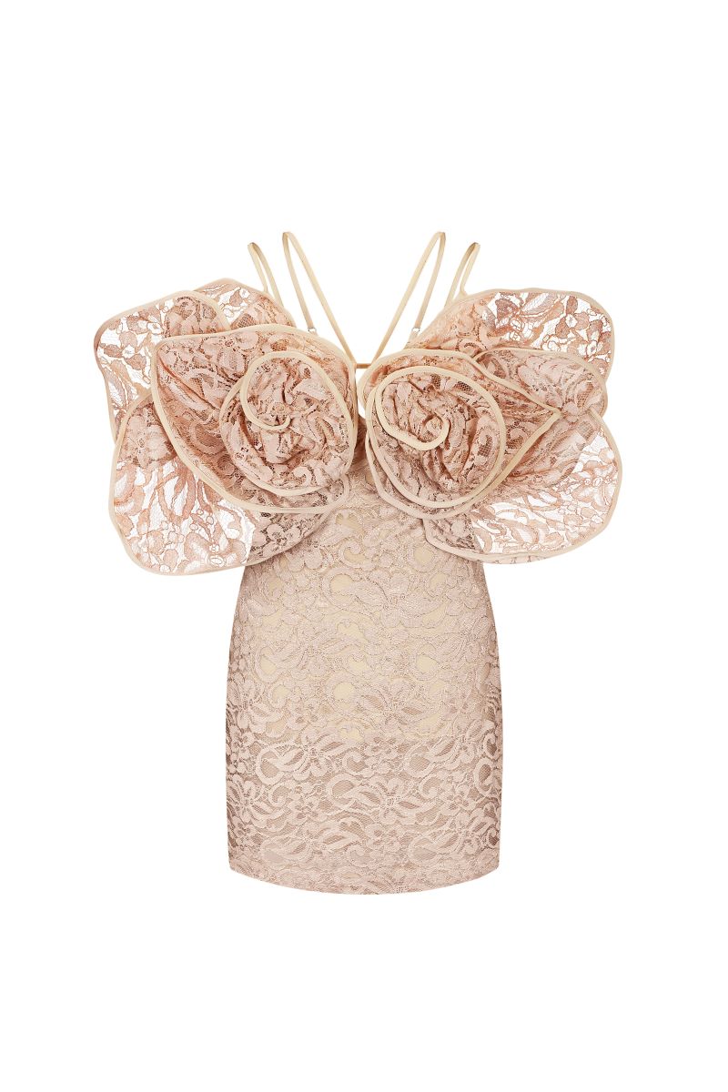 LACE MINI DRESS WITH 3D ROSES DECOR
