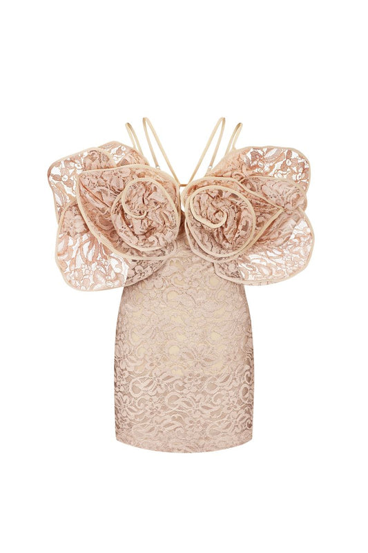 LACE MINI DRESS WITH 3D ROSES DECOR